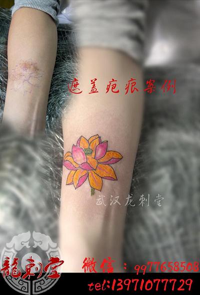 �̺��ڸ�����ͼ���ֱۺ�