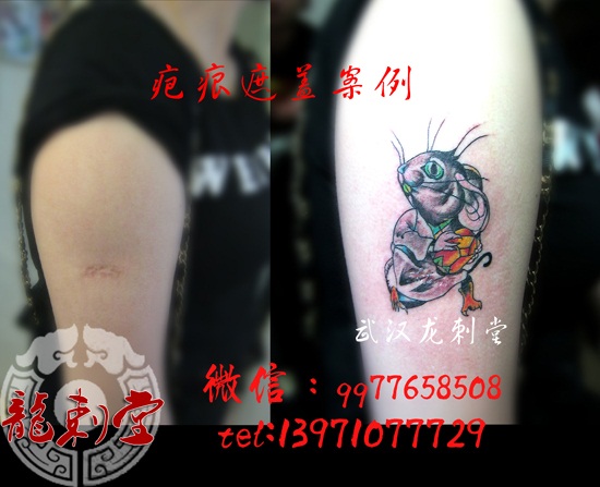 �ֱ۰̺��ڸ�С��������