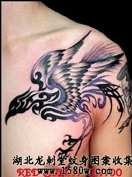 ͼ�ڲʷ������